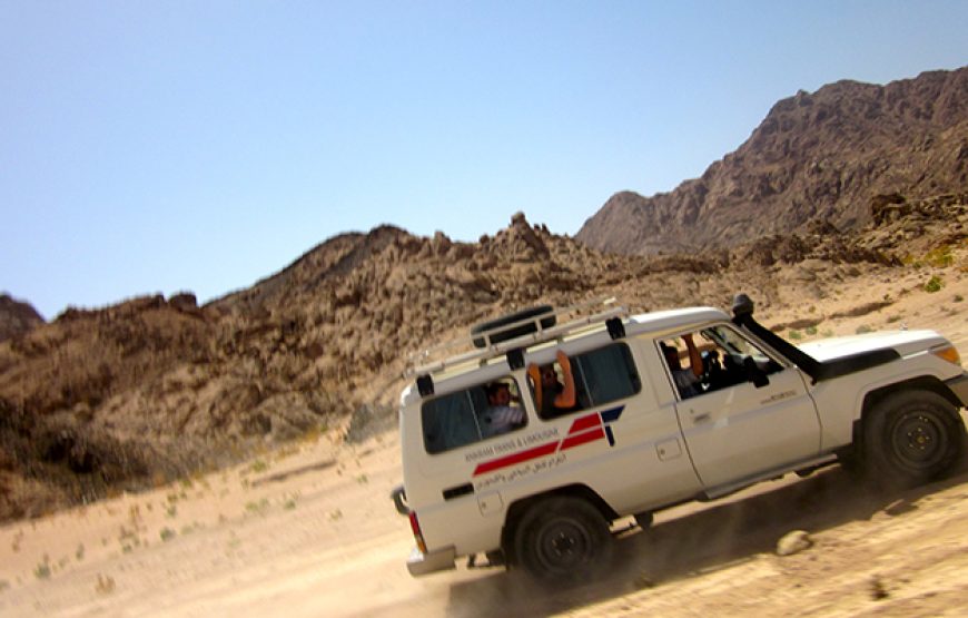 Safari at El Gouna