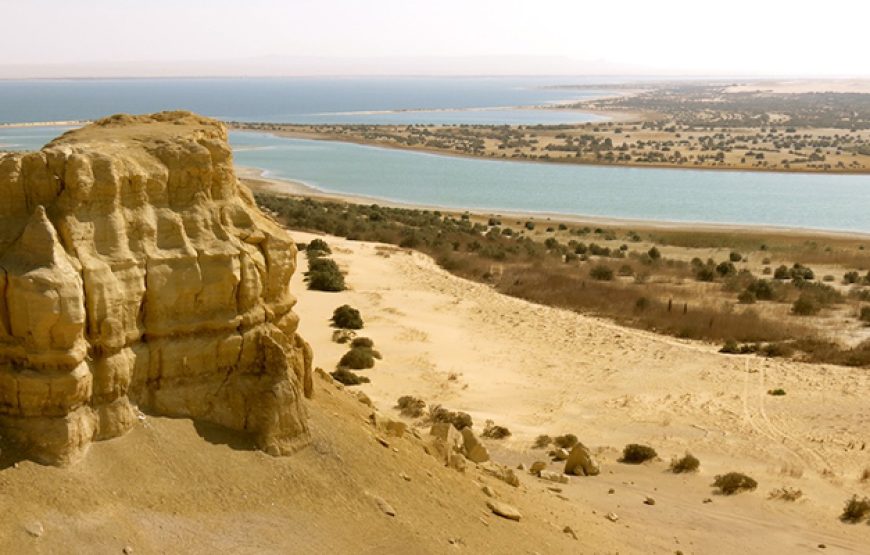 Day Tour to Al Faiyum from Cairo
