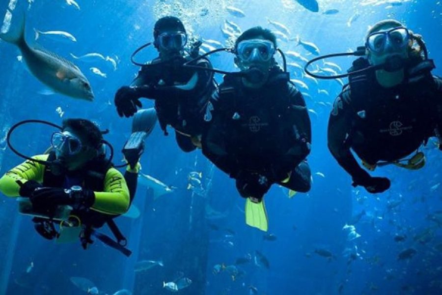Scuba Diving in El Gouna