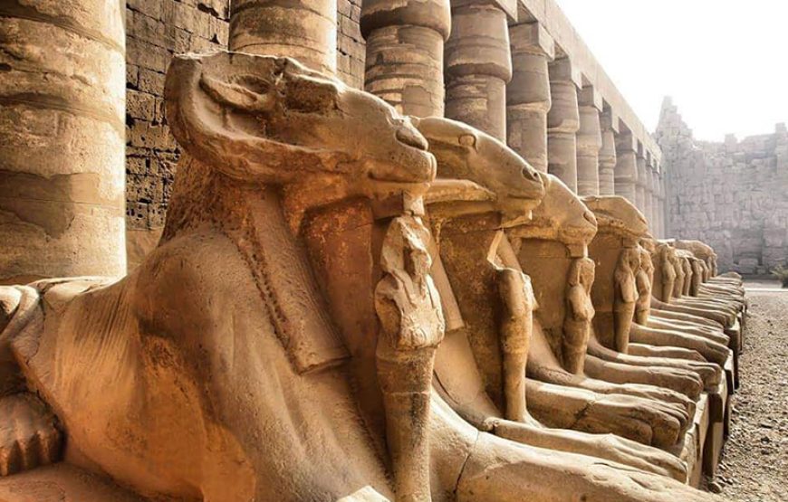 11 Days Cairo, Nile Cruise and the Red Sea