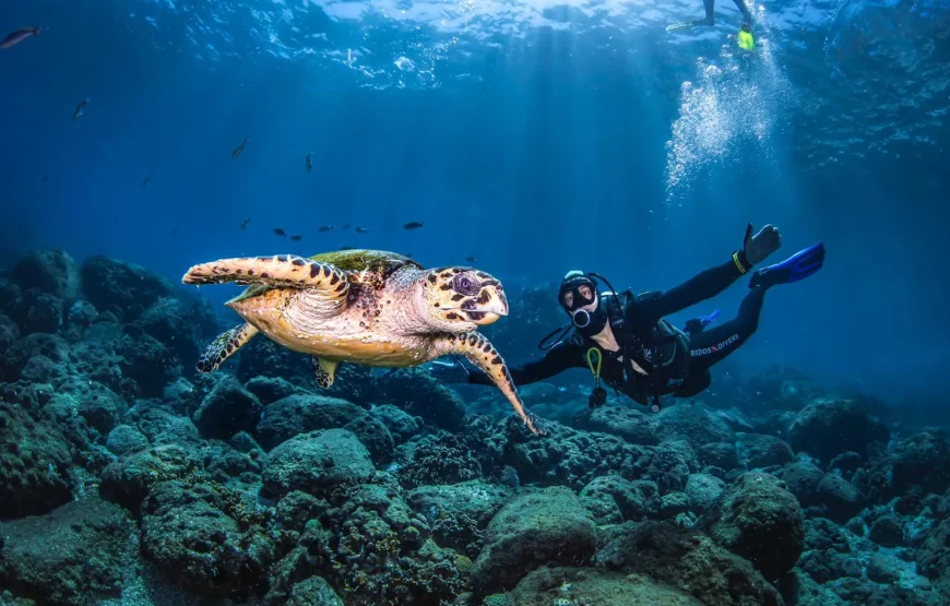 Scuba Diving in Nuweiba
