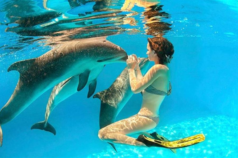 Snorkeling Day Tour at Marsa Alam in Satayh Dolphin Reef
