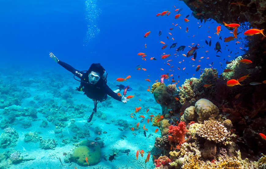 Scuba Diving in Nuweiba