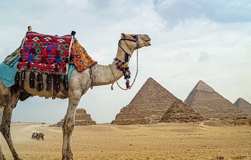 2 Days Tour to Cairo by Air from Taba