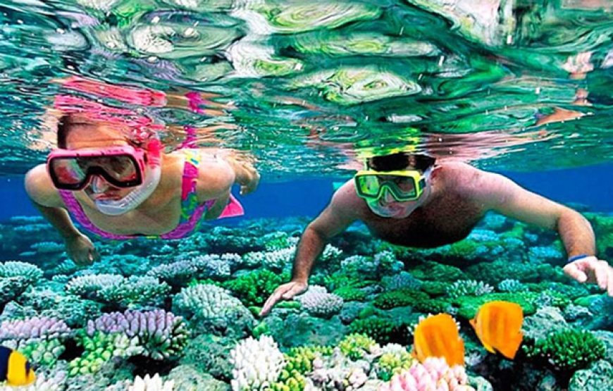 Snorkeling Day Tour in Hurghada from Safaga Port