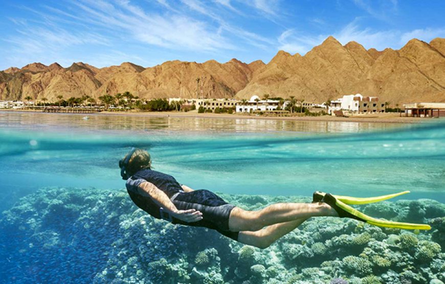 Snorkeling Day Tour in Hurghada from Safaga Port